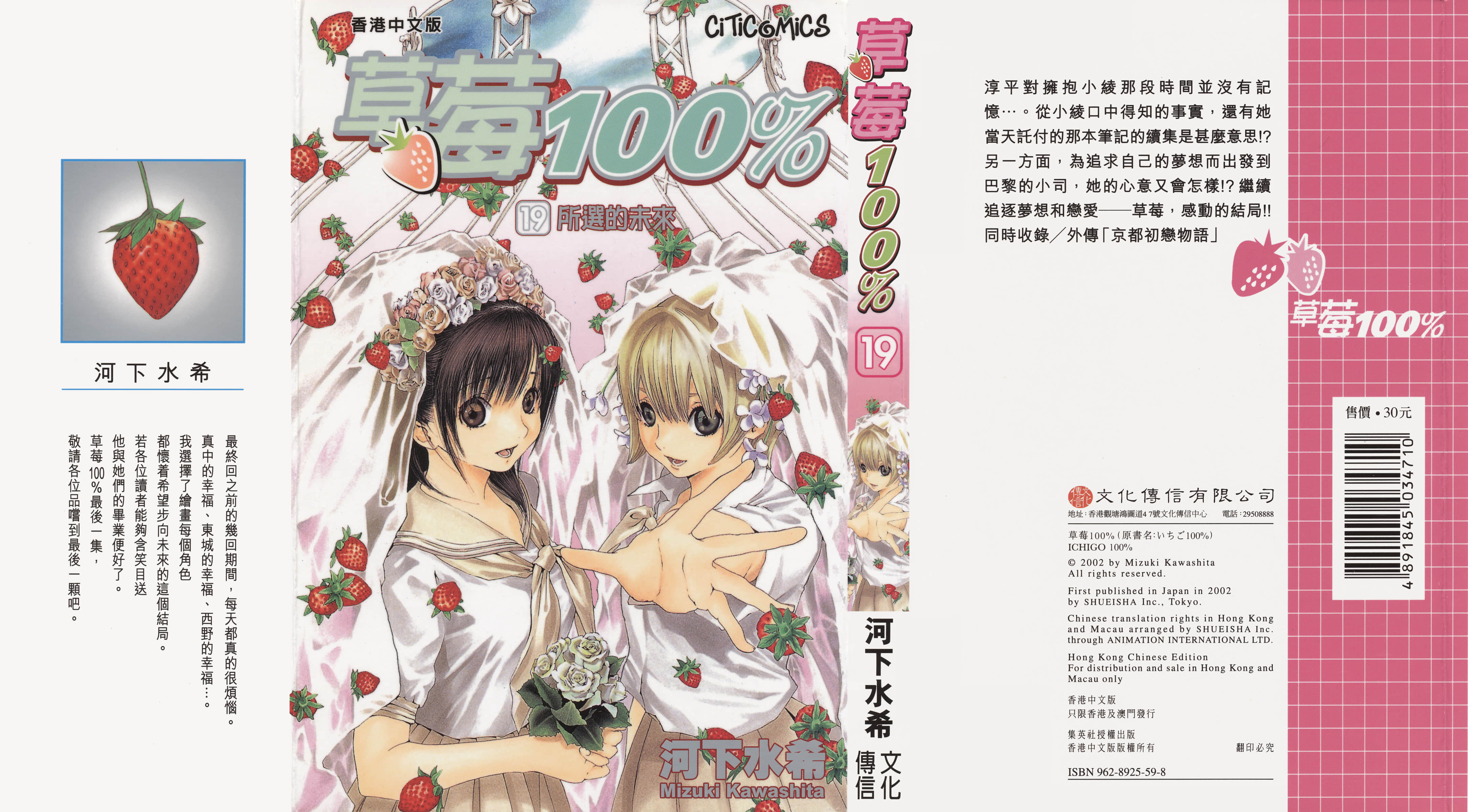 草莓100%【1-19卷 全是中文】【いちご100%／Ichigo 100】【已完结】