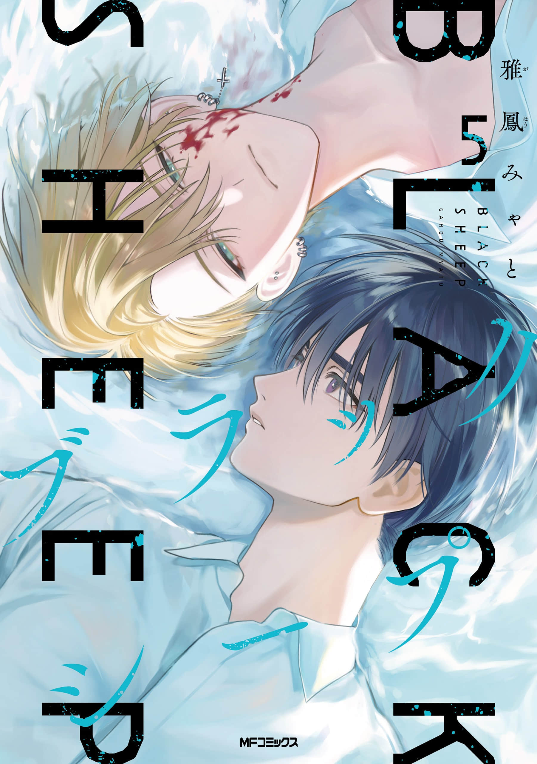 黑羊【1-5卷 2-5是生肉】【ブラックシープ】