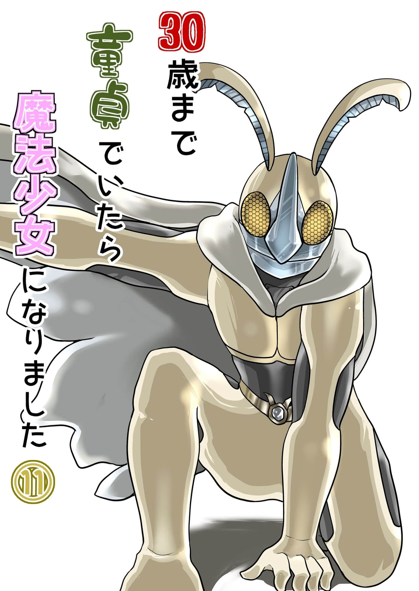 三十岁还是童贞的我成为了魔法少女【1-110话 7-110是生肉】【30歳まで童貞でいたら魔法少女になりました】【已完结】