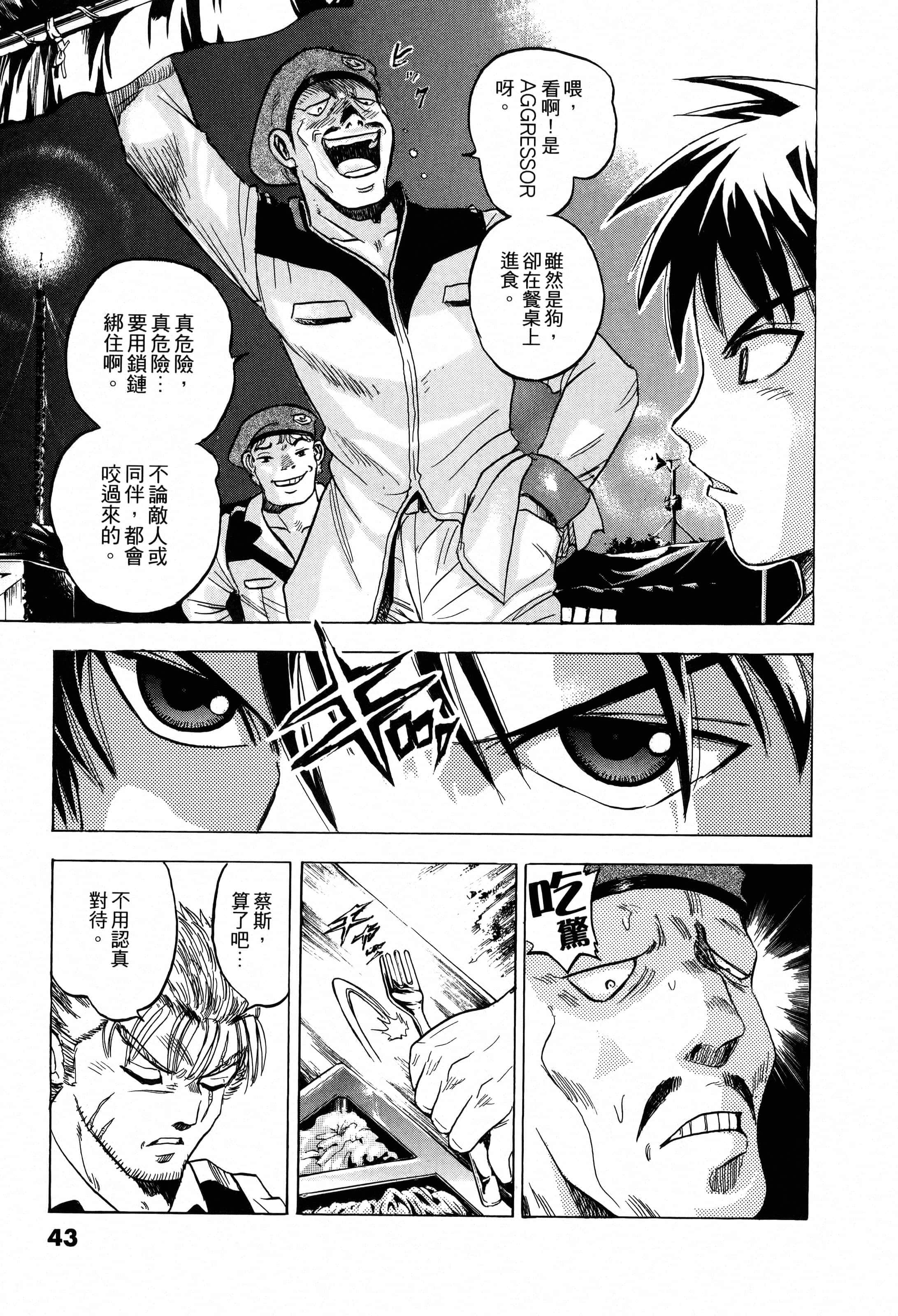 Page 43