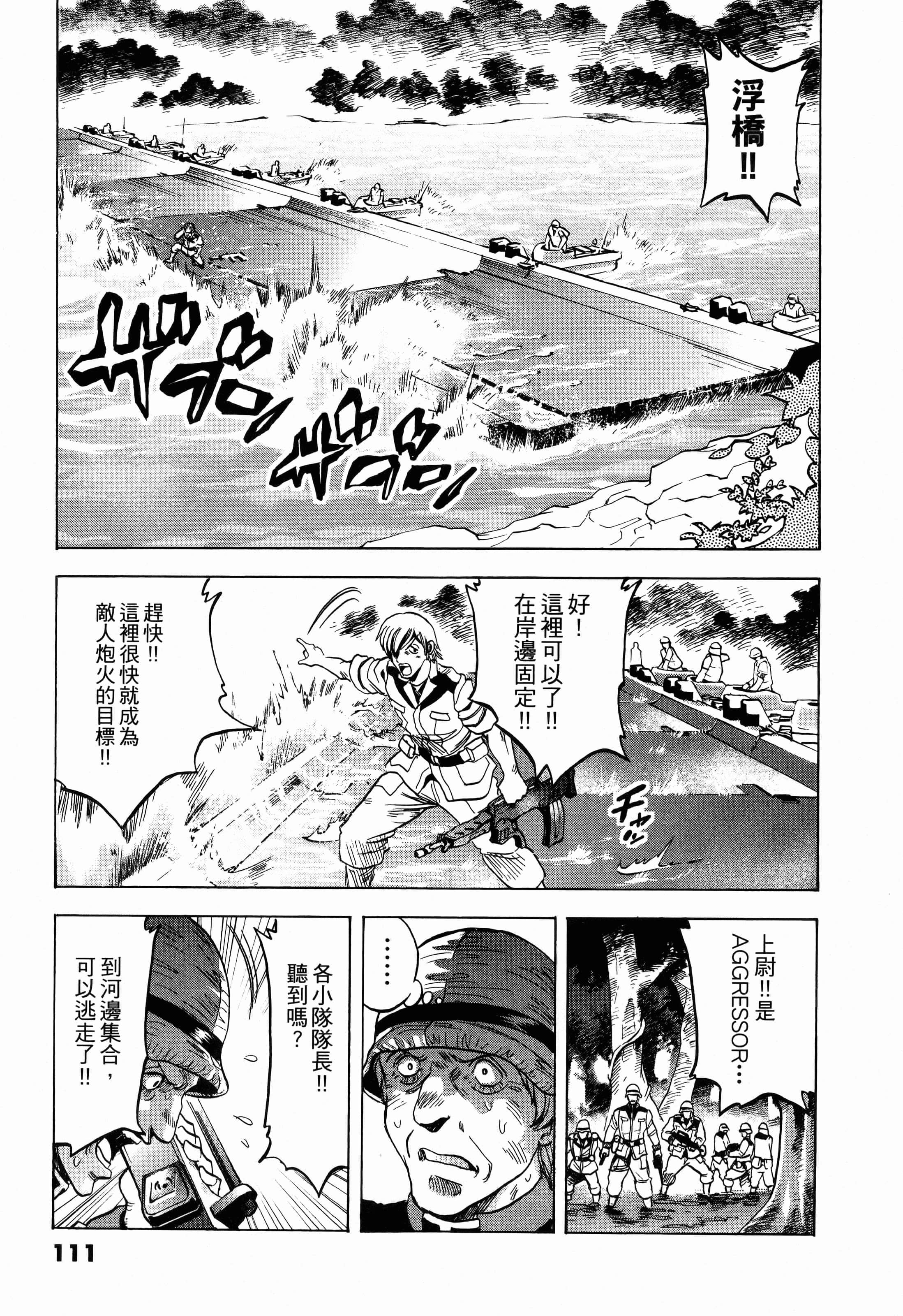 Page 113