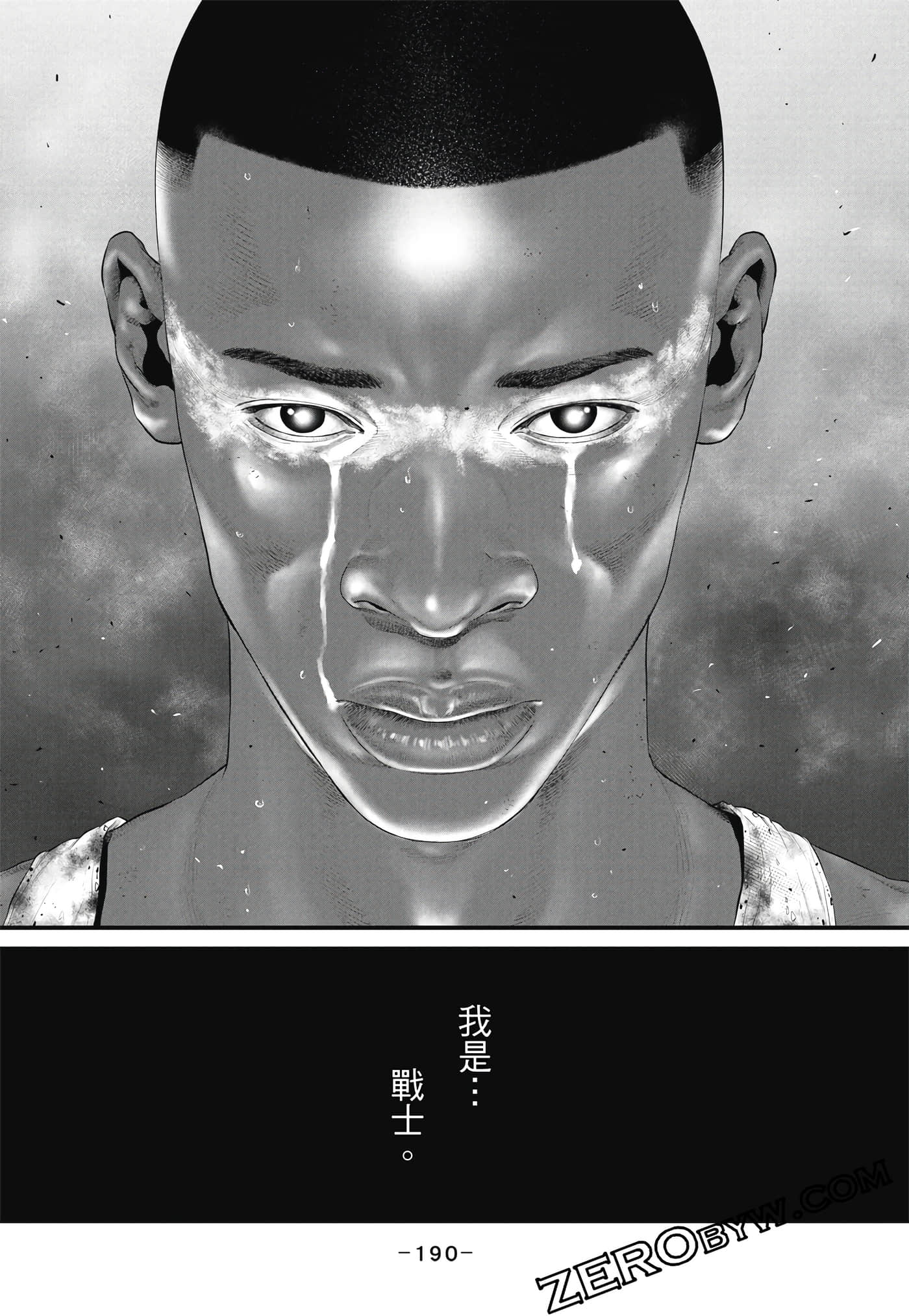 Page 191