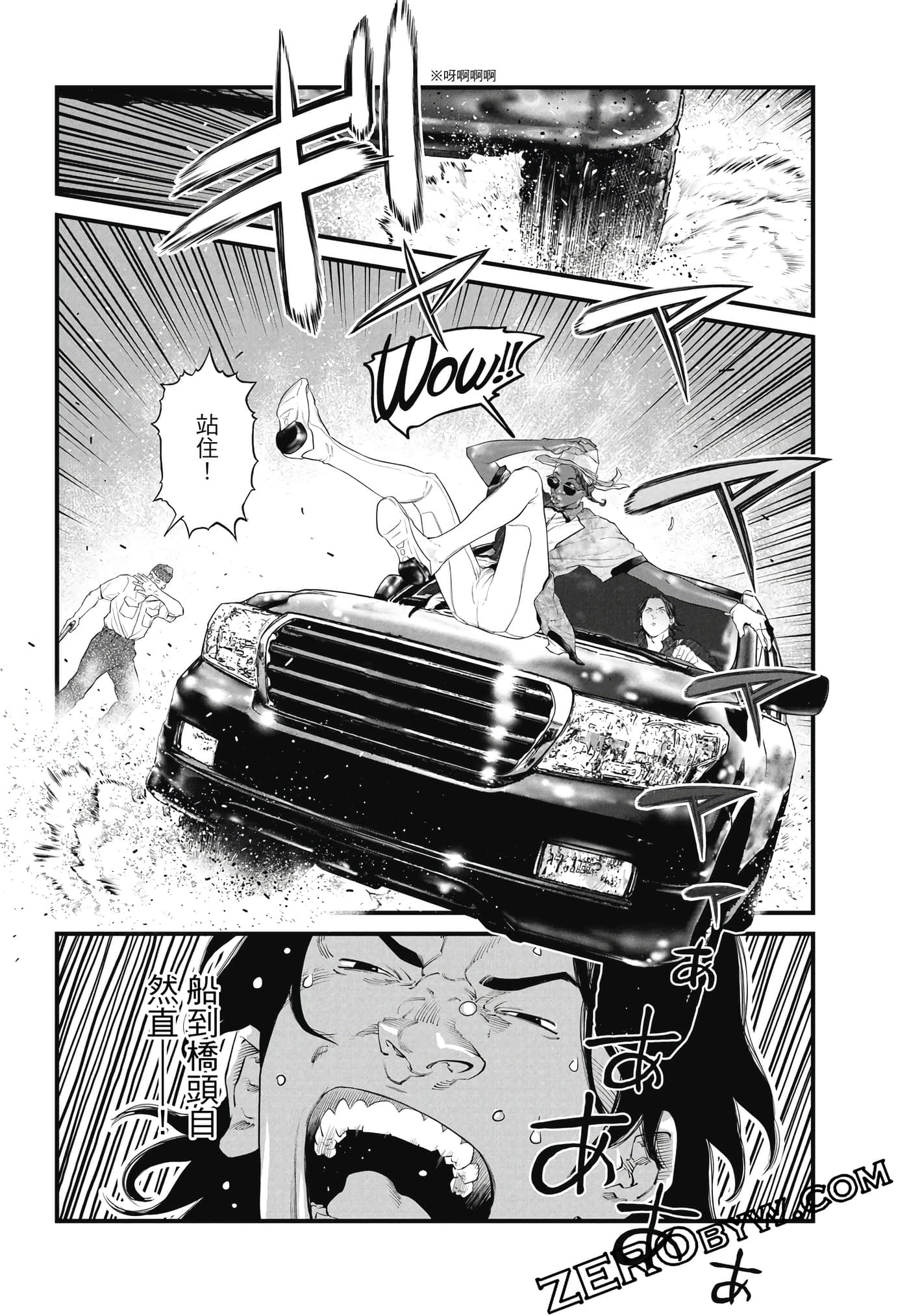 Page 223