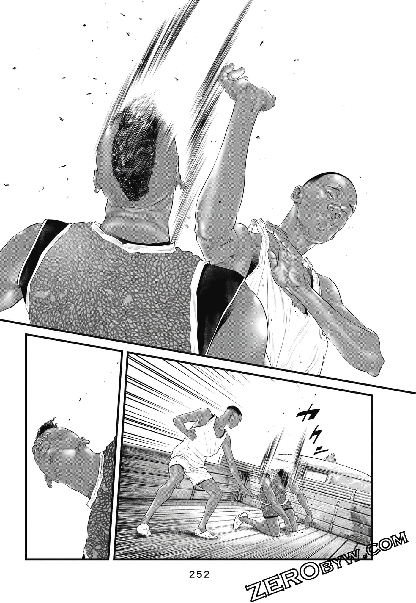 Page 253