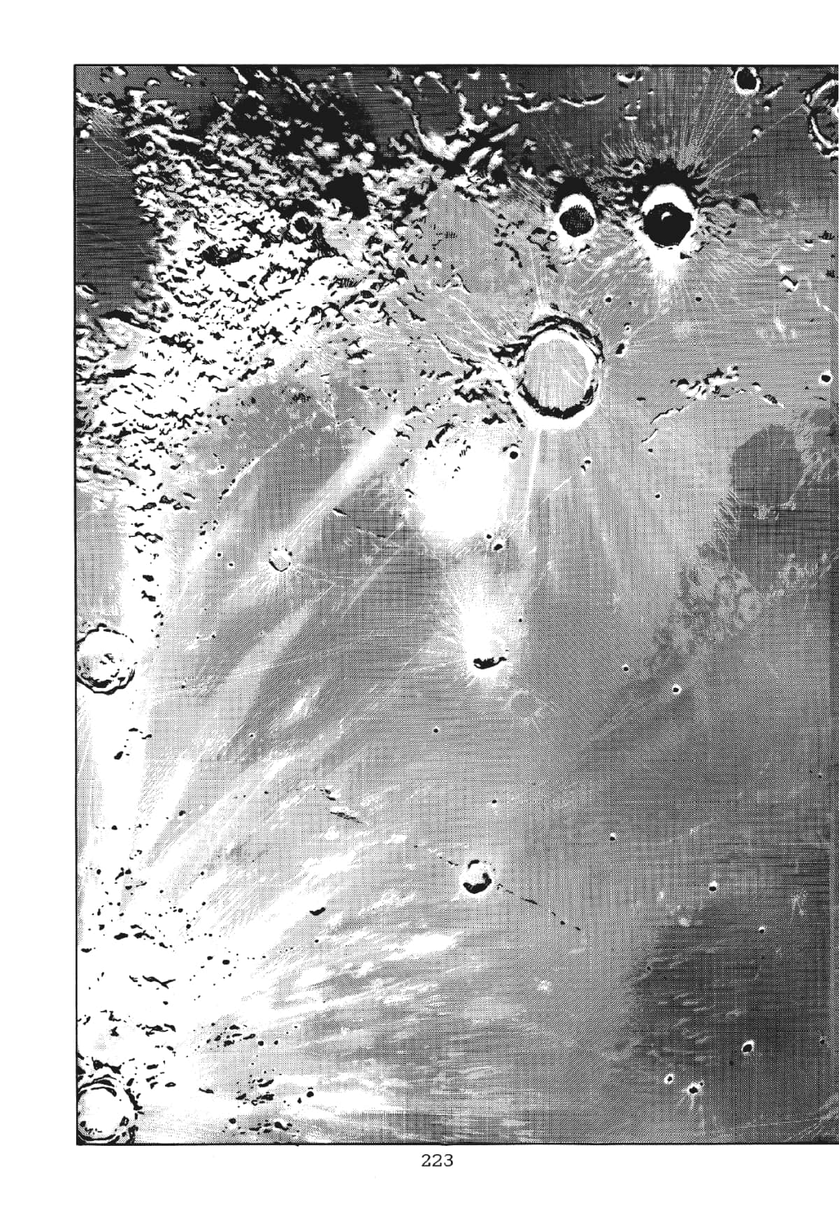 Page 223