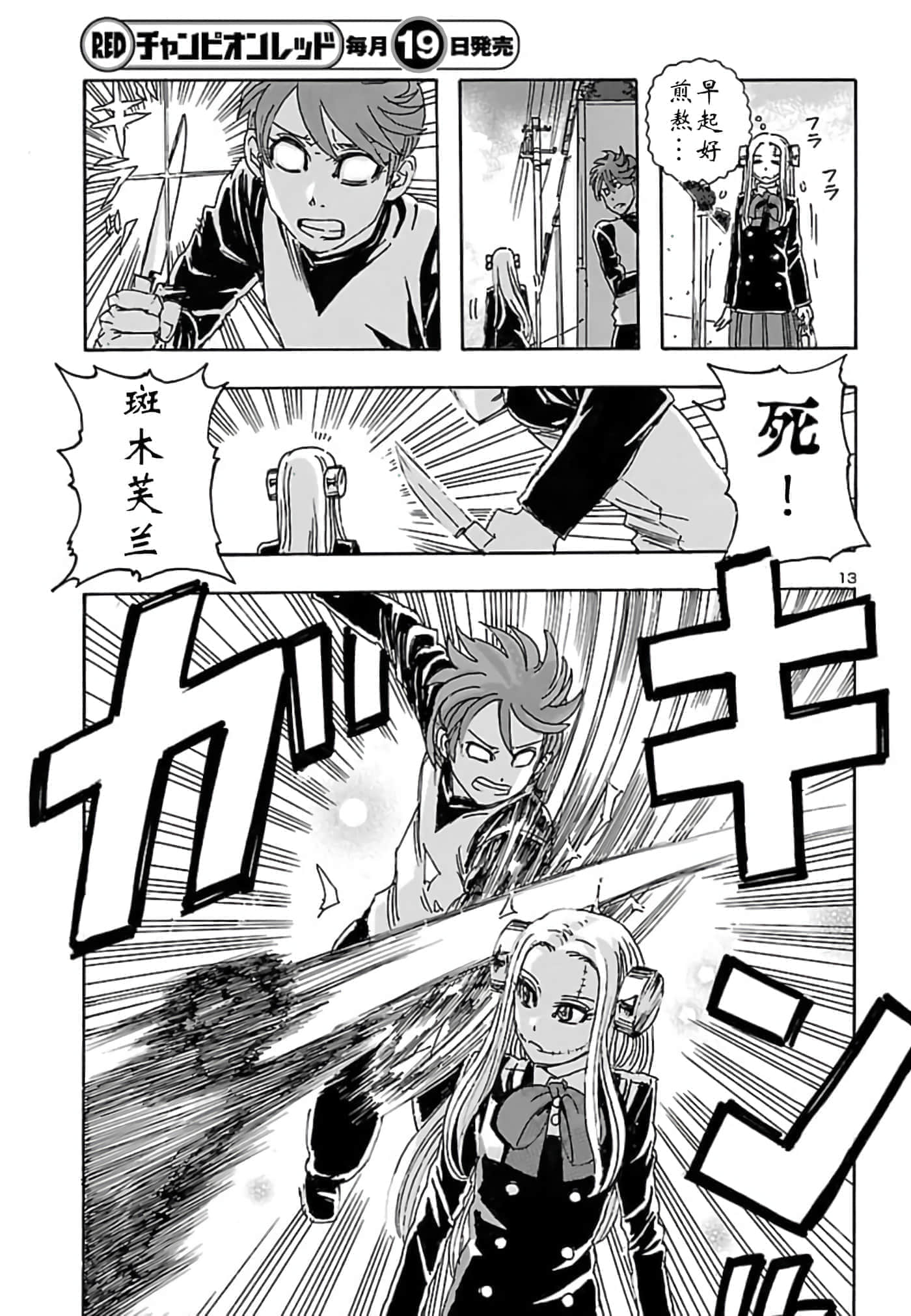 Page 13