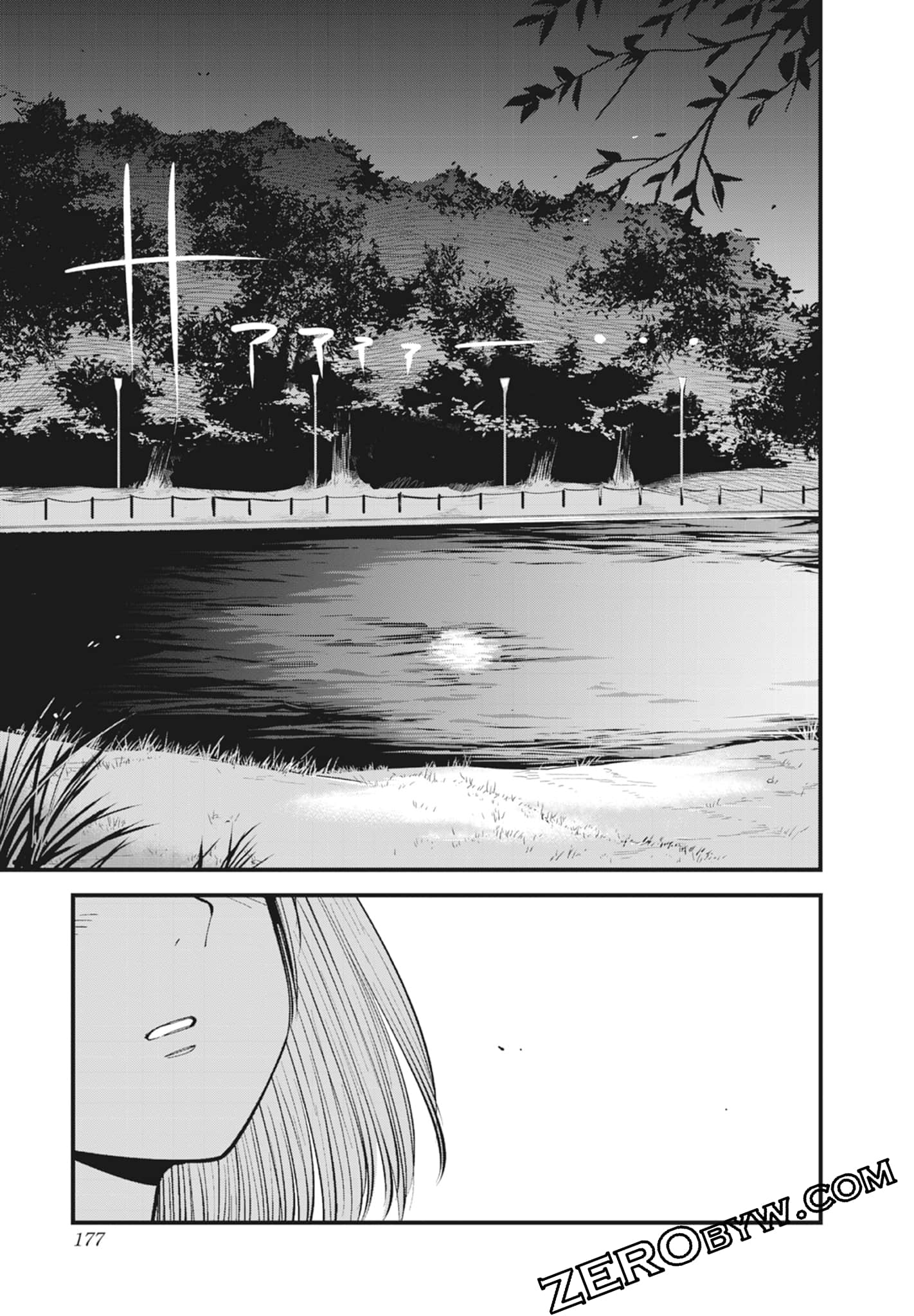 Page 177