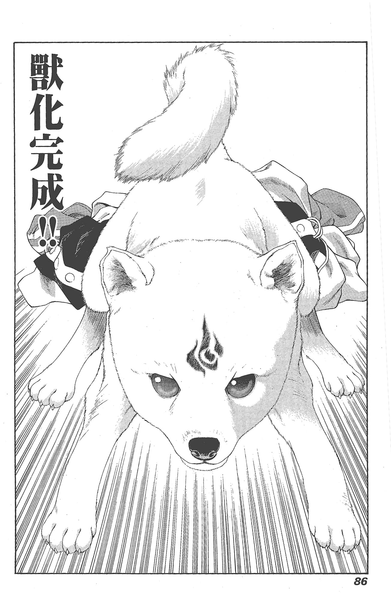 Page 86