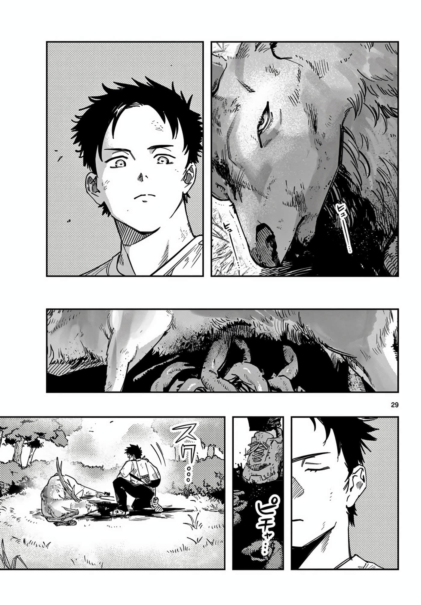 Page 29