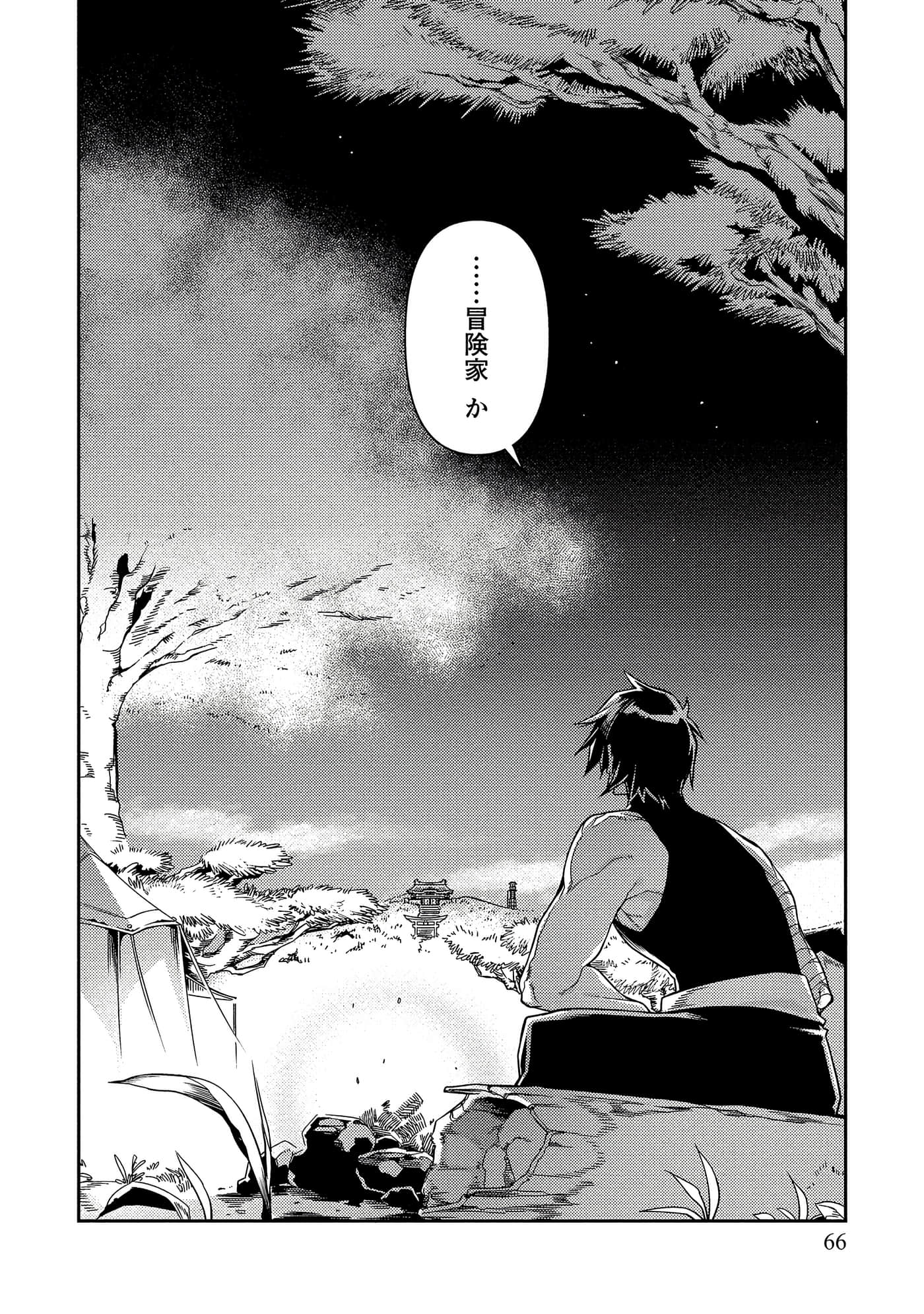 Page 66