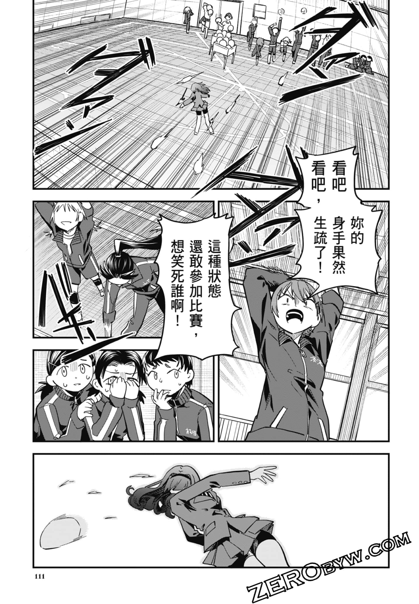 Page 111