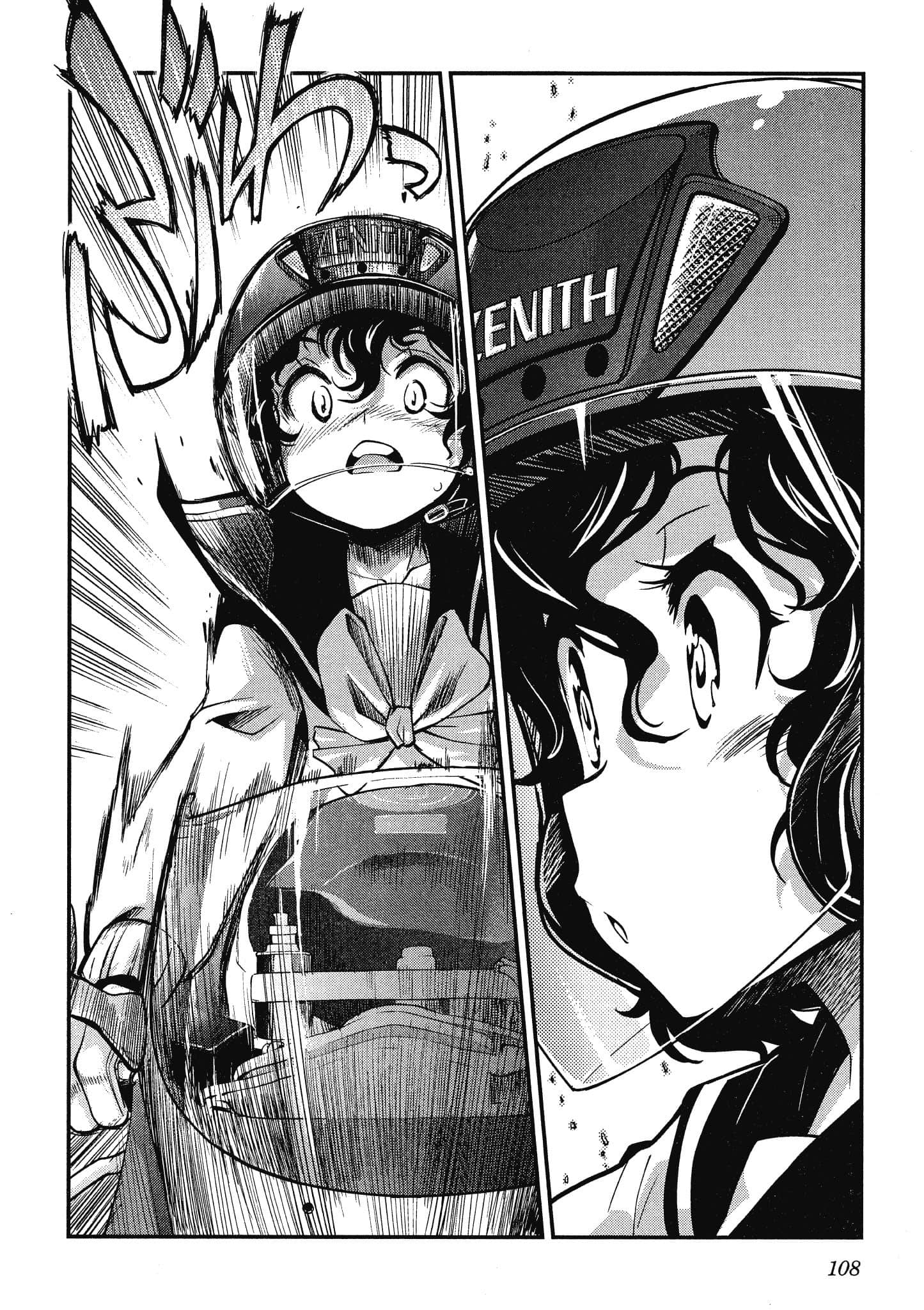 Page 109