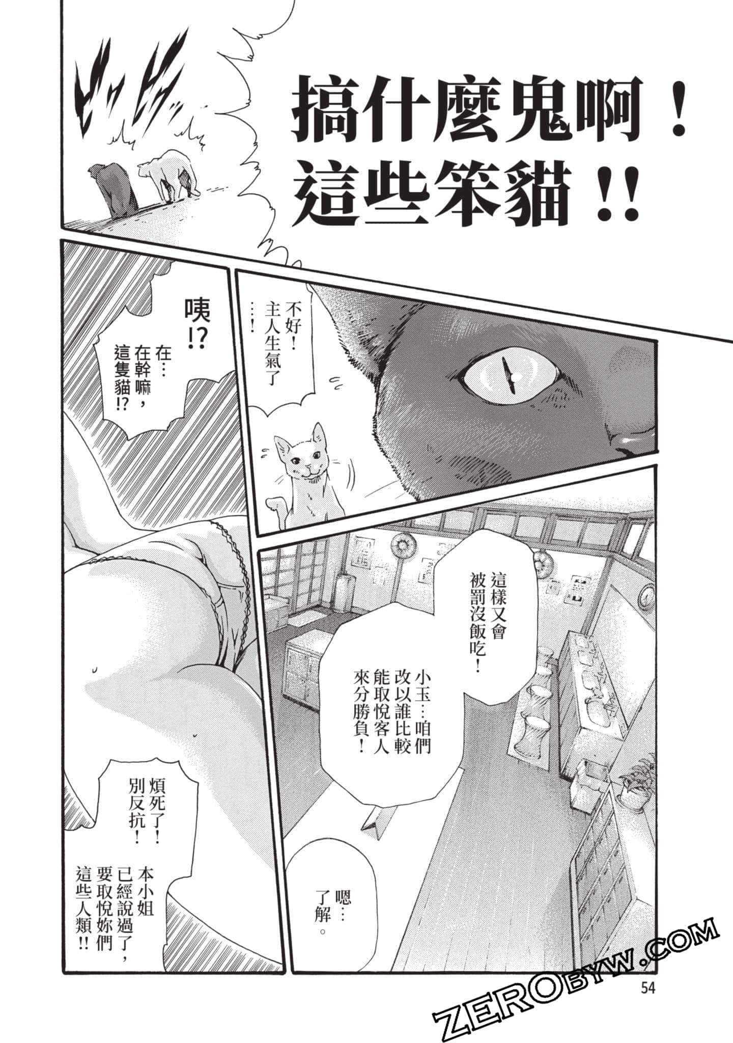Page 55