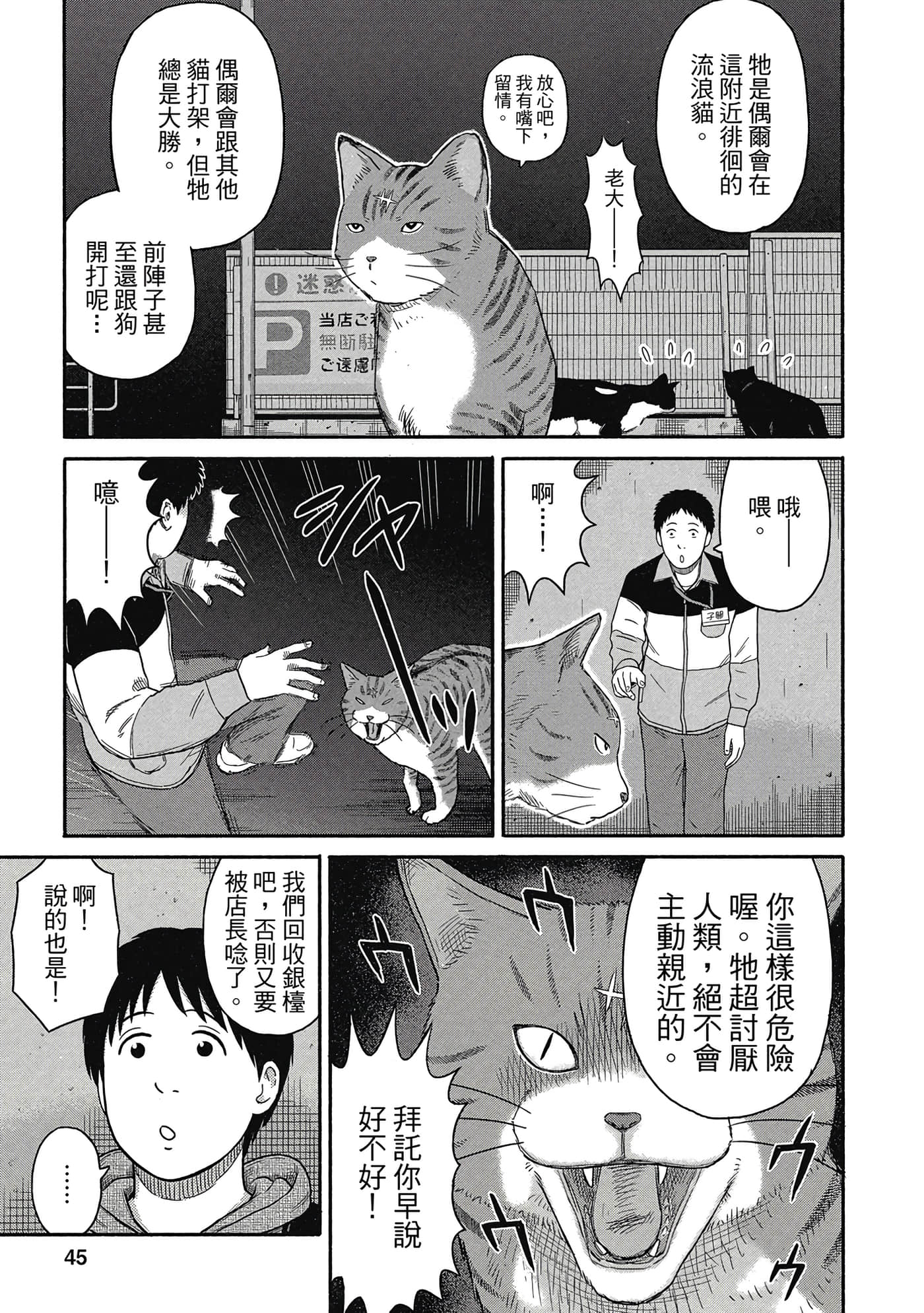 Page 46