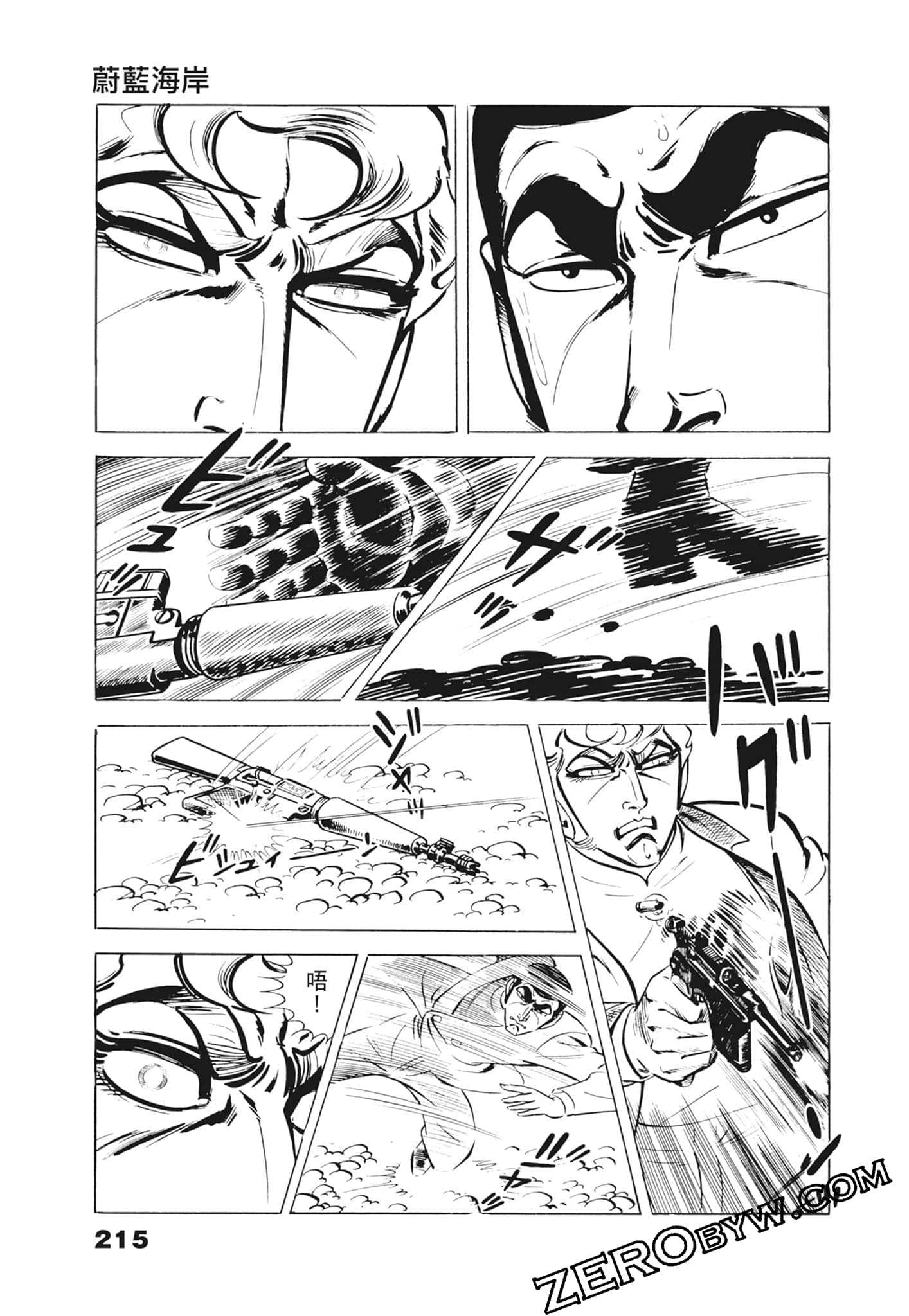 Page 219