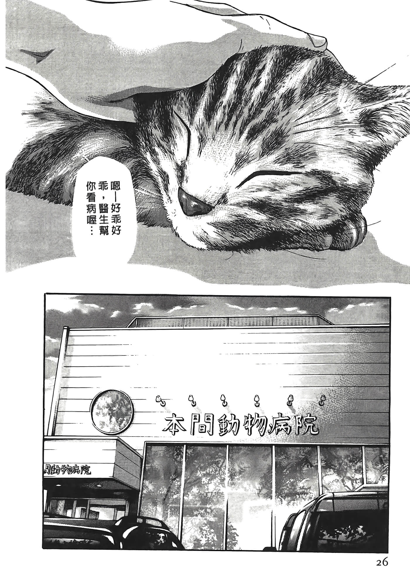 Page 26