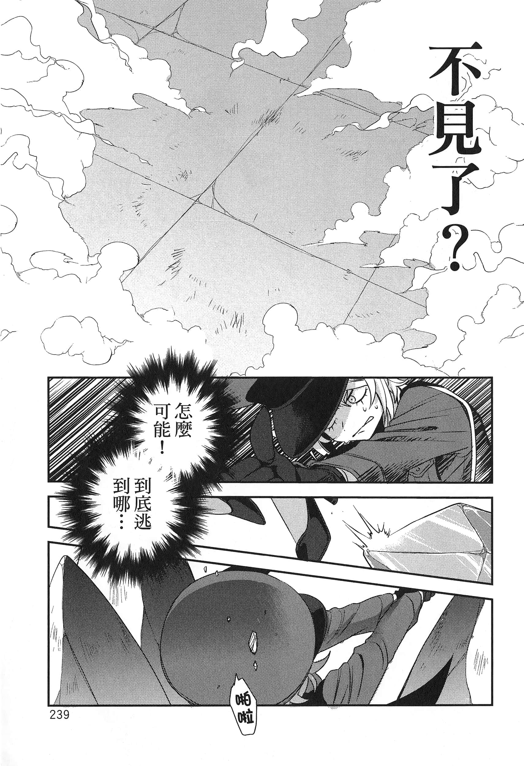 Page 243