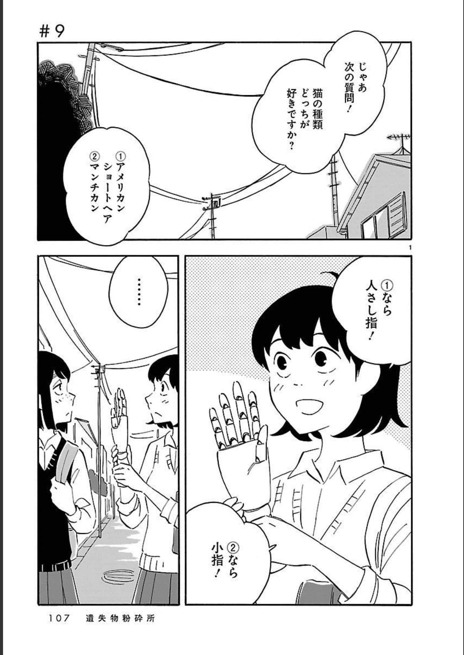 Page 107