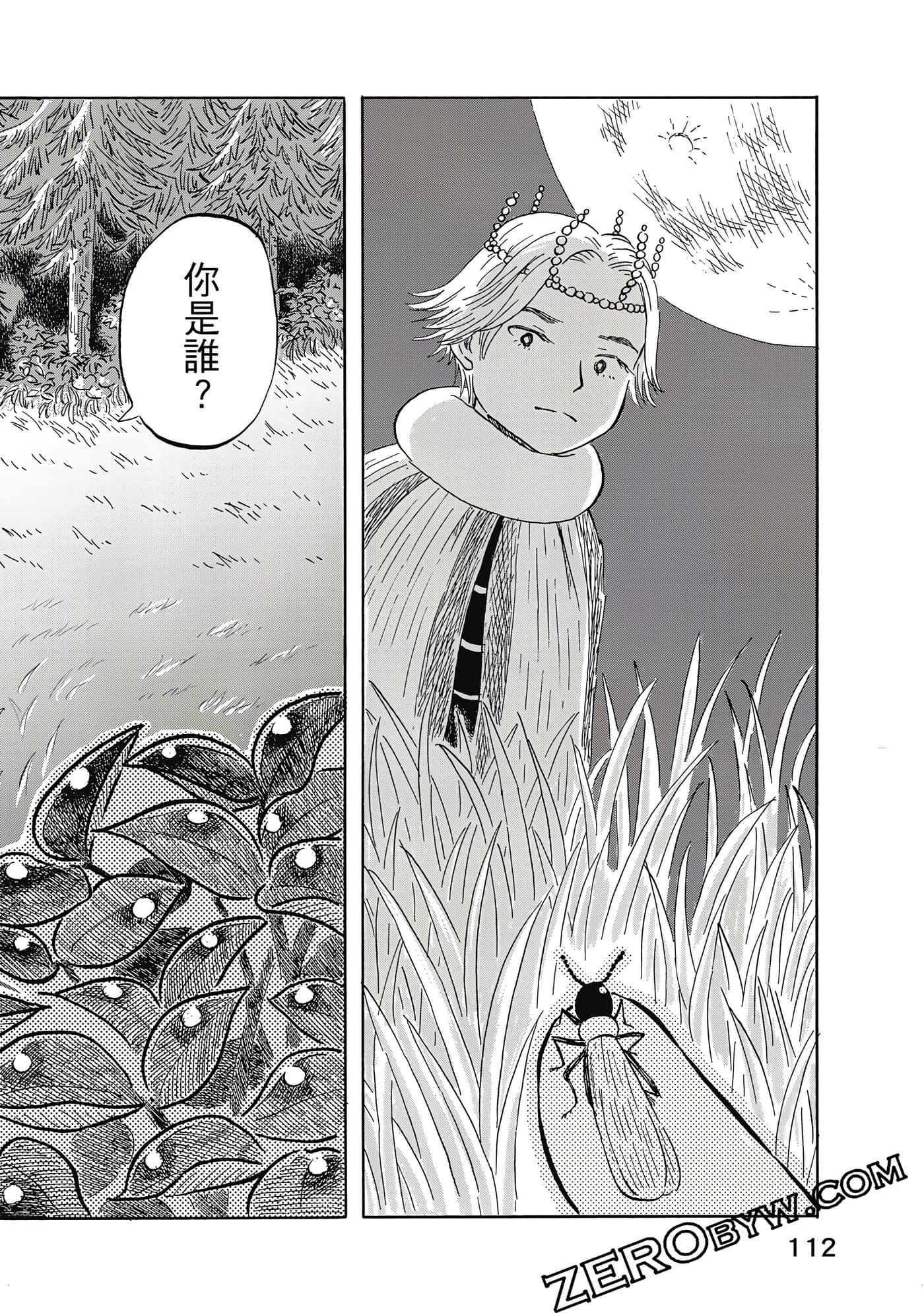 Page 113