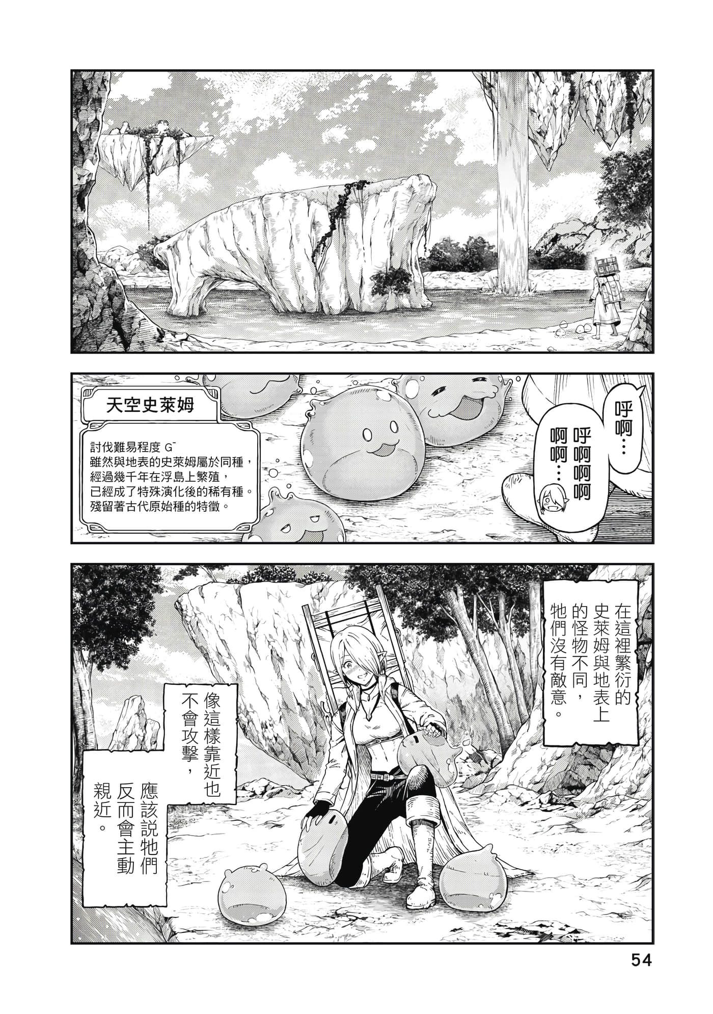 Page 55