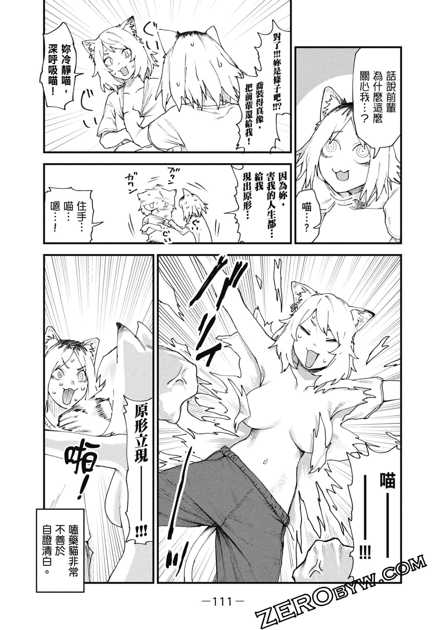Page 113