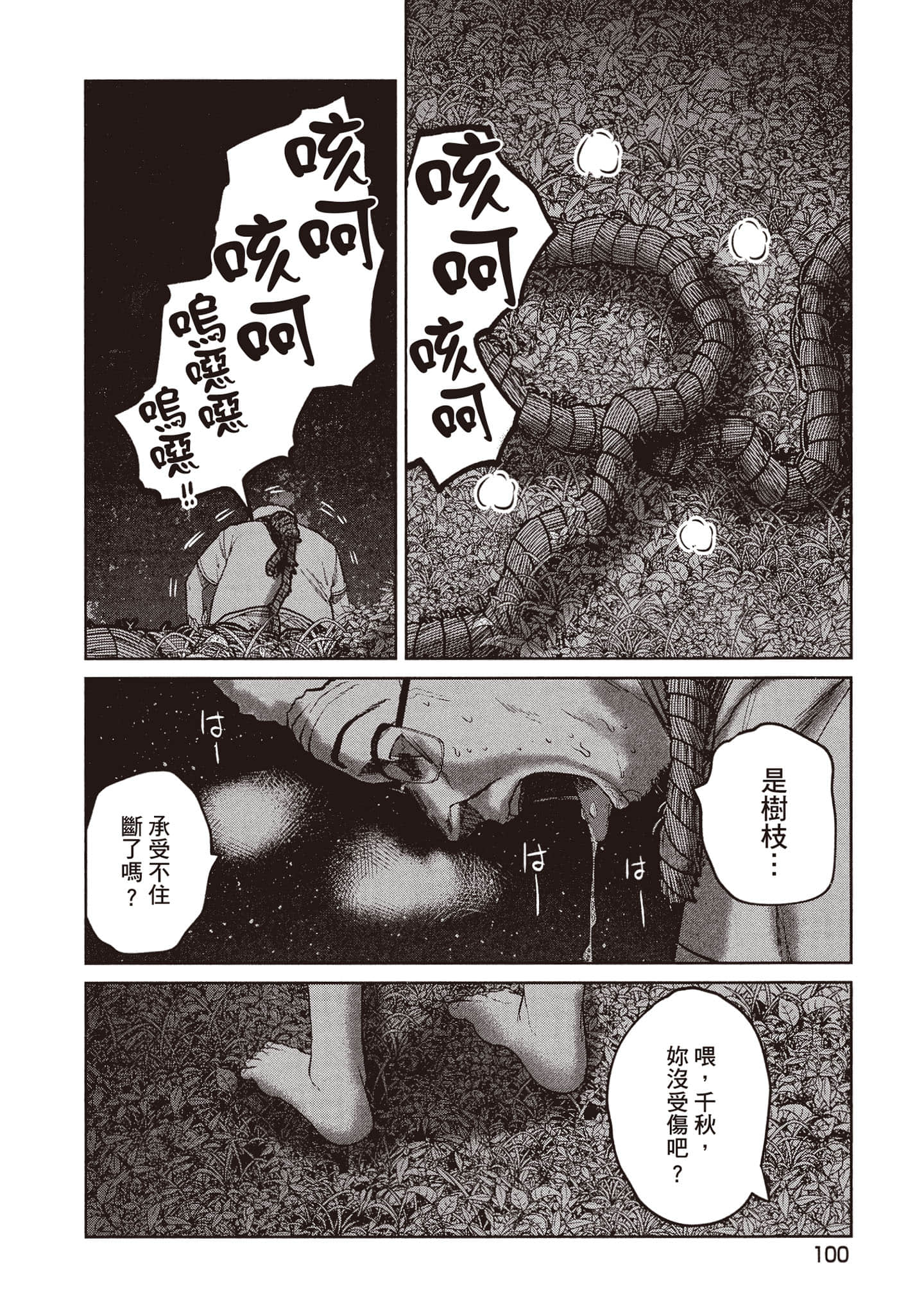 Page 101