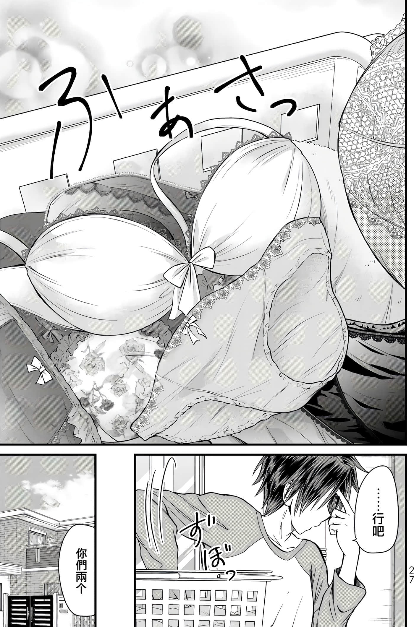 Page 27