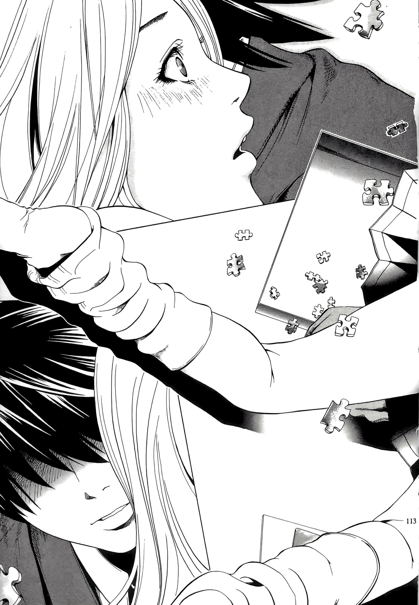 Page 113