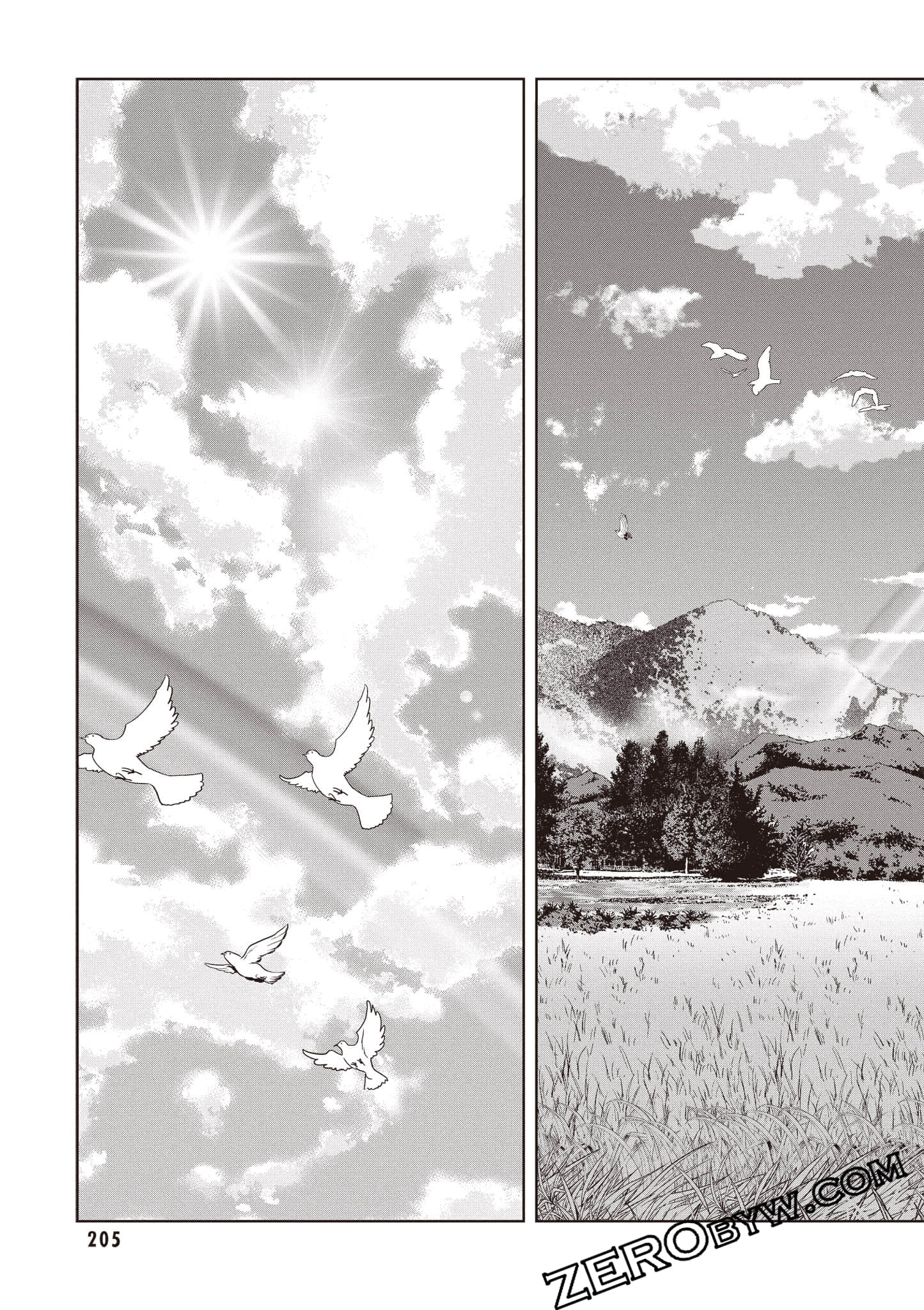 Page 206