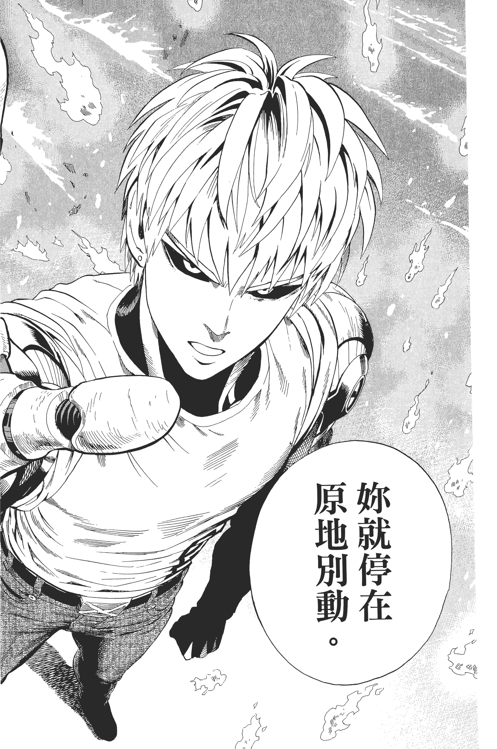 Page 113