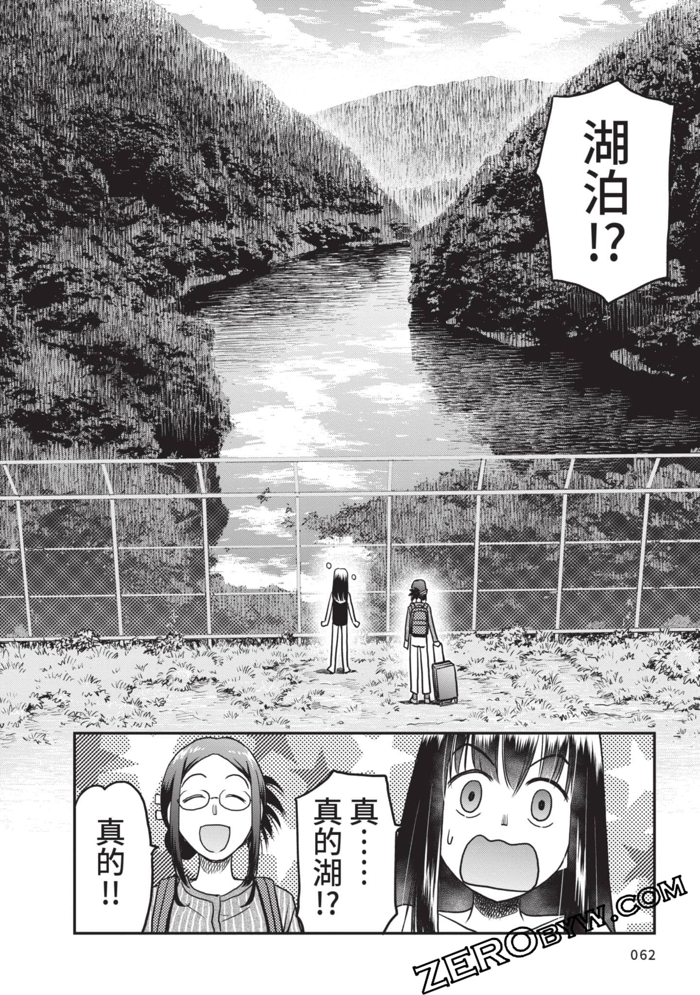 Page 63