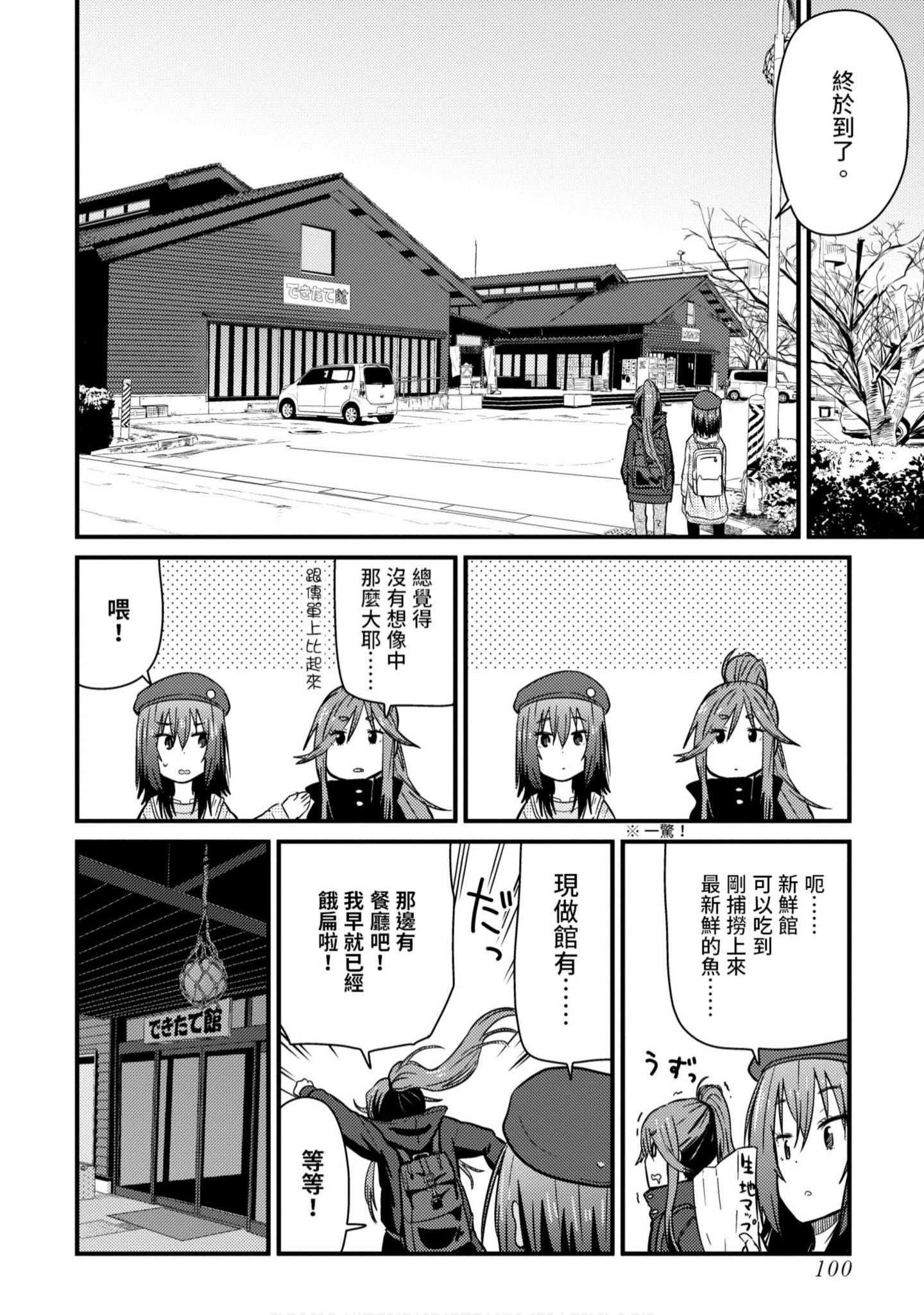 Page 101