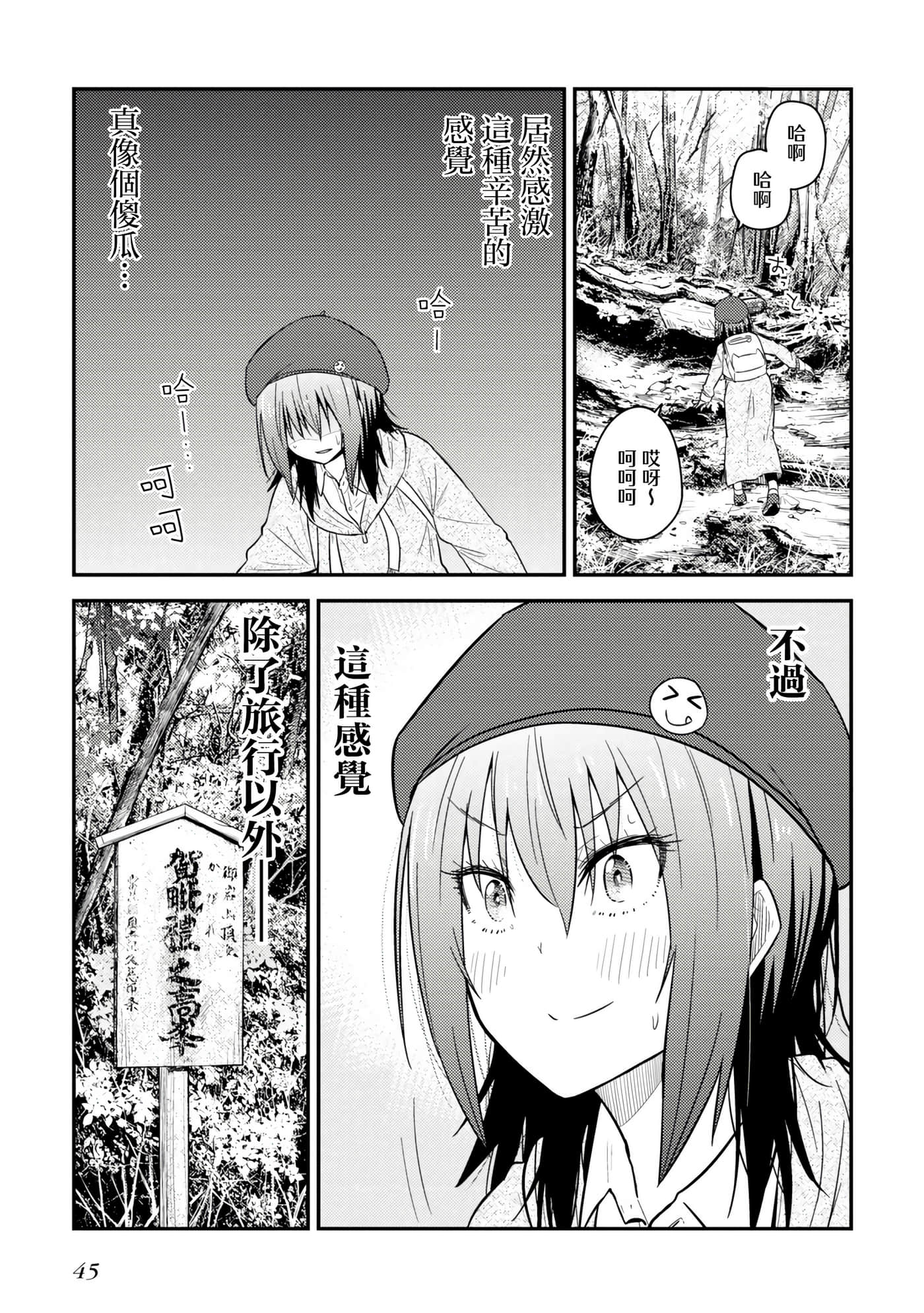 Page 45